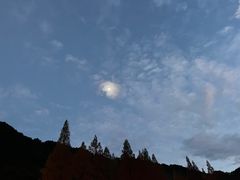 -九华山聚龙大酒店