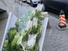 -懒人盐府人家·自贡大麻鱼(安贞店)