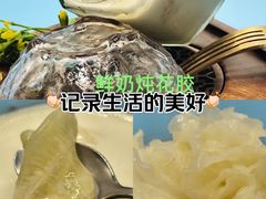 -凤城·食都