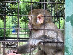 -洛阳马蹄泉旅游度假村