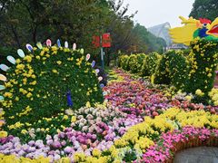 -南山植物园