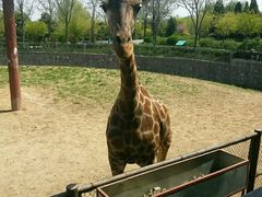 -石家庄市动物园