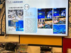 -杨梅红艺术教育(深圳南山书城教学中心)