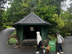 -墨尔本皇家植物园