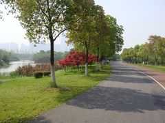 -艾溪湖湿地公园