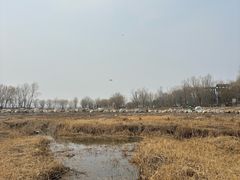 -绿堤公园