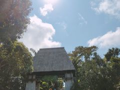 -亚龙湾热带天堂森林公园