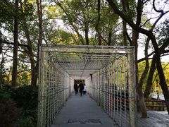 -天目湖山水园