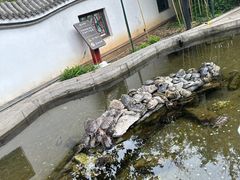 -红螺寺