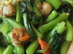 -清雅轩·清真菜·传统菜•融合菜(滑翔店)