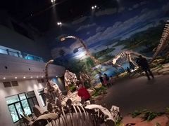 -自贡恐龙博物馆