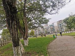 -蜀绣公园