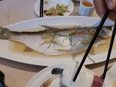 槽香野生大白鱼-徽珍源(龙茗路店)