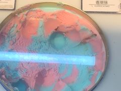-梨花自助烤肉(乐宾店)