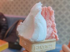 -柠檬车露(卖草地店)