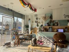 -平行世界·猫咖(首经贸店)