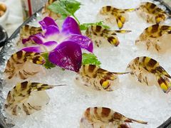 -富来美食(成发大厦店)