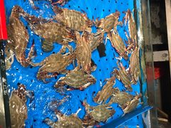 -永红源啤酒·烧烤·海鲜·大排档(青特城店)