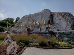 -北京西山国家森林公园