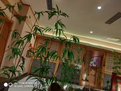 -大江户·温泉洗浴(浑南店)