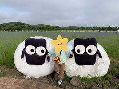-济州森林小火车生态公园