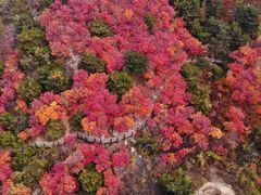 -九如山休闲旅游度假区