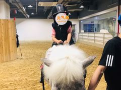 -李振强马术运动推广中心(南城店)