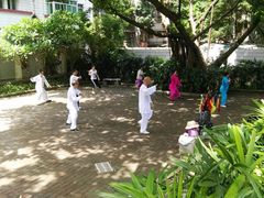 景点-晓港公园