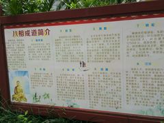 -南宁良凤江国家森林公园