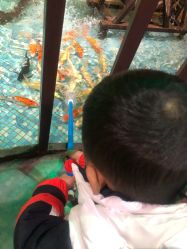 -酷嗒动物文化乐园(cutezoo西溪乐天城店)