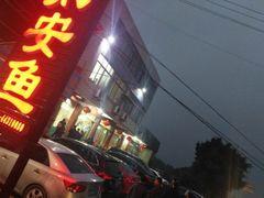 -y牌太安鱼