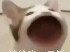 -山姆会员商店(杨桥西路店)