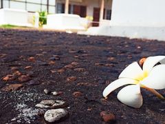 -吐斯廉屠杀博物馆