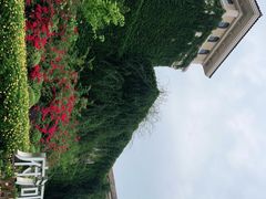 -府河摄影公园