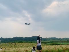-空港花田景区
