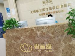 -碧莲盛·不剃发植发