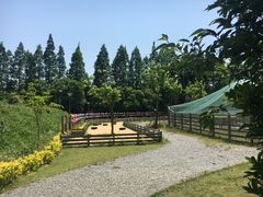 -前小桔亲子创意农场·草莓采摘·露营烧烤
