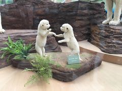 -陕西自然博物馆