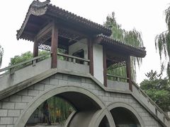 -团结湖公园