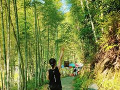 -千泷沟大瀑布旅游区