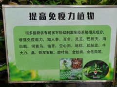 -华南国家植物园-售票处