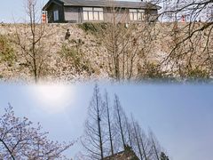 -鸡鸣寺