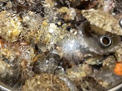 -77号渔船·蒸海鲜青岛菜(积米崖店)