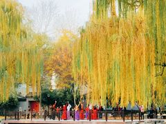 -玲珑塔公园