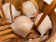 招牌虾饺皇-金鼎轩(亚运村店)