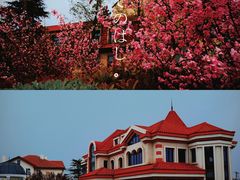 -八大关景区