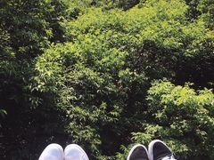 -富斯特索道
