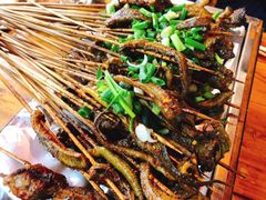 鳝鱼-晓靖轩烧烤(沙河风情店)