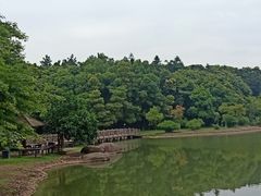 -象山森林公园