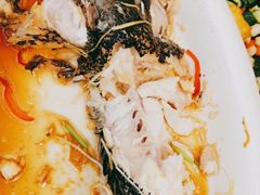 -中苑海韵